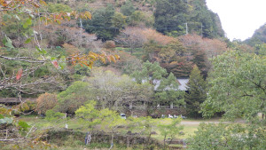 月ヶ谷温泉村キャンプ場